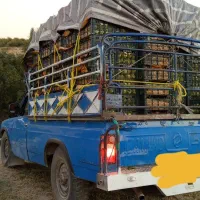 نیسان دیزل مدل 92|خودرو سواری و وانت|سده (فارس), |دیوار