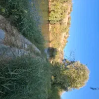 زمین کنار رودخانه زاینده رود|فروش زمین و ملک کلنگی|سامان, |دیوار