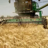 فروش زمین کشاورزی فوری زیر قیمت