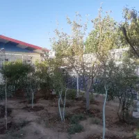 اجاره-روزانه-ویلا-باغ-بزرگ-مناسب-تعداد-بالا