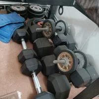 دمبل و هالتر