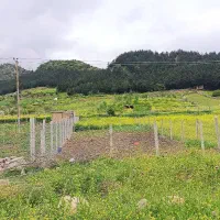 زمین-باغی