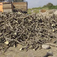 چوب|خدمات باغبانی و درختکاری|جیرفت, |دیوار