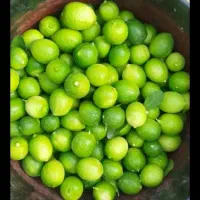 پرتقال ۲ نیم‌میخوام  همدان بار