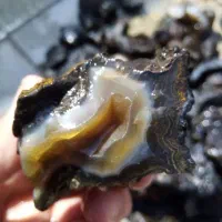 باسلام با کیفیت و مناسب تراش|جواهرات|فردوس (خراسان), |دیوار