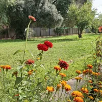 تمیزکاری خانه