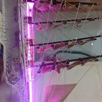 ماکت کشتی بلک رز|مجسمه، تندیس، ماکت|یزد, |دیوار