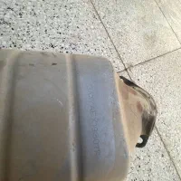 کاتالیز|قطعات یدکی و لوازم جانبی|کاشمر, |دیوار