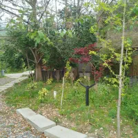 نیروی خدماتی خانوم