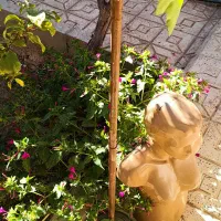 مانکن‌‌لباس|فروشگاه و مغازه|بیرجند, |دیوار