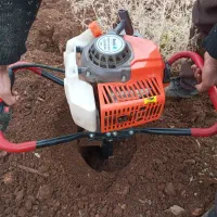 چاله کن|خدمات باغبانی و درختکاری|سروآباد, |دیوار