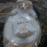 سیسمونی|کالسکه و لوازم جانبی|زاهدان, |دیوار