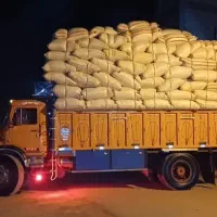 کاه گندم سفید