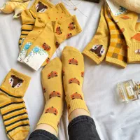 آنلاین شاپ ارائه انواع لباس زنانه مردانه با کیفیت|لباس|لشت نشا, |دیوار