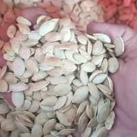 تخم کدو 50کیلو