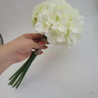 آرتانزیا|گل مصنوعی|اهواز, جانبازان|دیوار