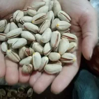 خشکبار|خوردنی و آشامیدنی|سرایان, |دیوار