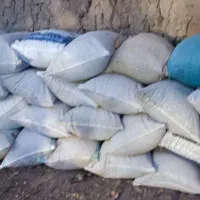 کود پرندگان