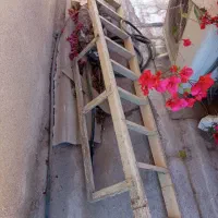 نردبان چوبی سالم