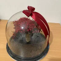 عروسک خرس استیجی پتو دار و باکس شیشه ای گل ژیپسو|اسباب‌‌بازی|صدرا-فارس, فاز ۲|دیوار