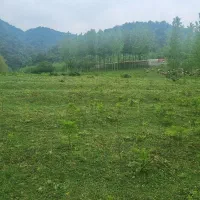 زمین کشاورزی واقع در روستای لاجیم