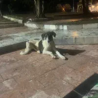 پارکینگ بدون مزاحم