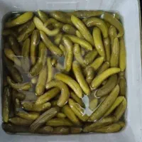 پخش خیارشور حلب درجه۱ و زیتون حلب سوپرویژه صالحی