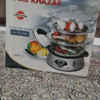 بخار پز