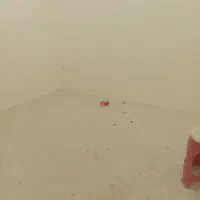 ۸۳ متر همکف راه جدا ( رهن کامل )|اجارهٔ خانه و ویلا|قم, شهرک فاطمیه|دیوار