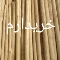 تیرهای سقفی و چوب درخت سفیدار ....