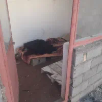 اجاره انبار|اجارهٔ مغازه و غرفه|گلمکان, |دیوار