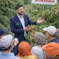 نهال بادام ایتالیایی پرس ضمانت گیرایی نهالستان