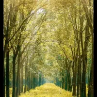 راهنمایی میکنم