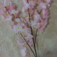 شکوفه گل مصنوعی|گل مصنوعی|بندر انزلی, ساحل قو|دیوار