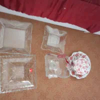 ظرف پزیرایی