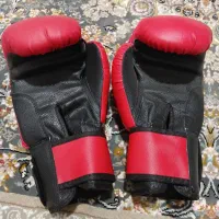 دستکش بوکس نو|تجهیزات ورزشی|دیواندره, |دیوار