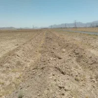 زمین-با-موقعیت-خوب-و-رو-به-پیشرفت