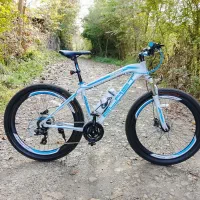 دوچرخه بلست مدل پرفورمنس