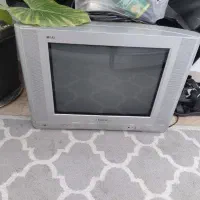 تلوزیون