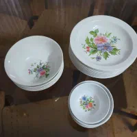 ملامین سالم مناسب باغ