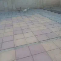 غازتخم گذار