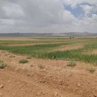 زمین کشاورزی