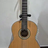 گیتار بست فان