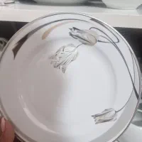 سرویس چینی مقصود