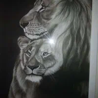 کلاس های ویژه بزرگسالان|خدمات آموزشی|قزوین, |دیوار