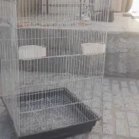 قفس عروس هلندی بزرگ