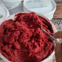 رب گوجه تمیز و بهداشتی بدون افزودنی پخت خانگی|خوردنی و آشامیدنی|شیراز, کوشک میدان|دیوار