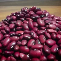 حراج لوبیا قرمز