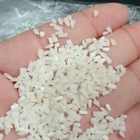 نیم دانه صدری(زرد دم) کشت دوم شاه برنج