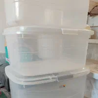 جانونی یا باکس